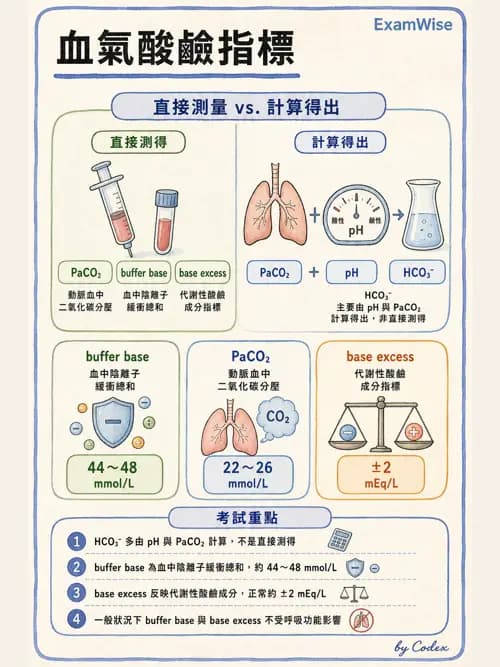 呼吸治療師 - 動脈血氣體分析設備 - AI 圖文解析預覽