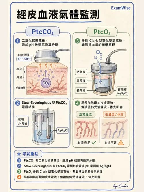 呼吸治療師 - 非侵入性呼吸監測設備 - AI 圖文解析預覽