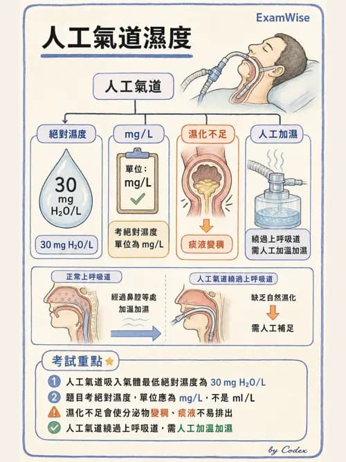 呼吸治療師 - 濕氣治療設備 - AI 圖文解析預覽