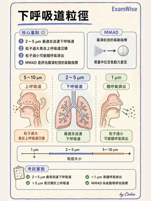 呼吸治療師 - 吸入性藥物噴霧設備 - AI 圖文解析預覽