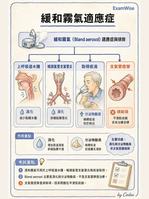 呼吸治療師 - 吸入性藥物噴霧設備 - AI 圖文解析預覽