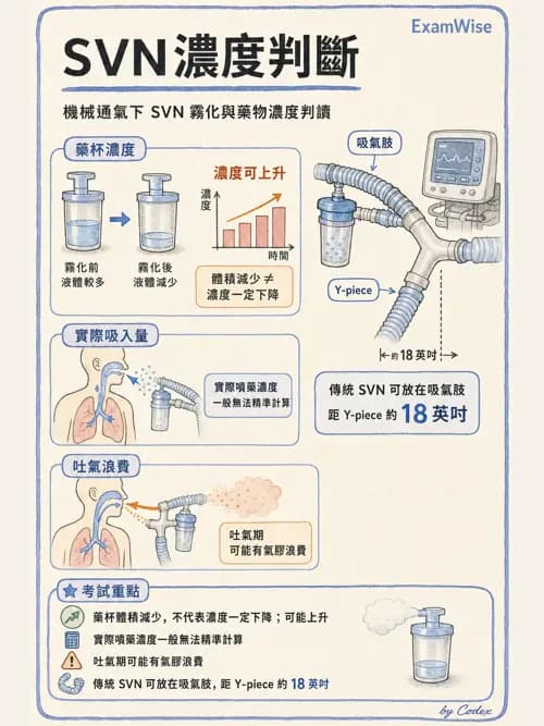 呼吸治療師 - 吸入性藥物噴霧設備 - AI 圖文解析預覽
