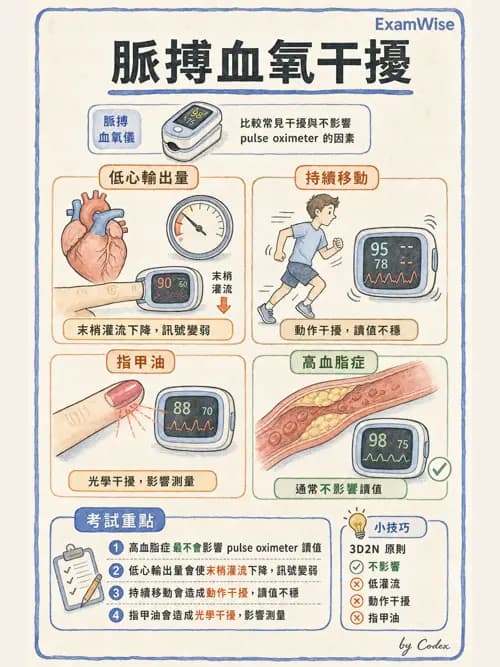 呼吸治療師 - 非侵入性呼吸監測設備 - AI 圖文解析預覽