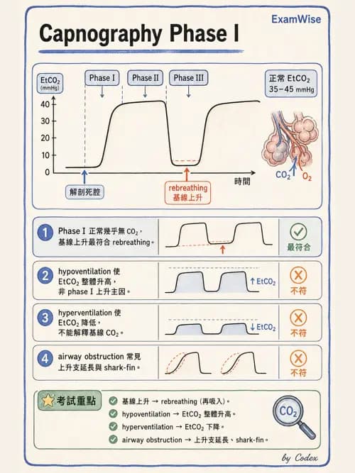 呼吸治療師 - 非侵入性呼吸監測設備 - AI 圖文解析預覽
