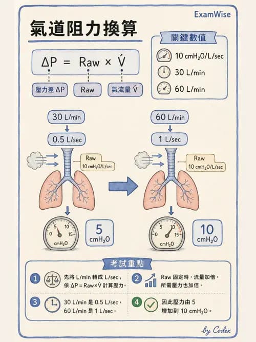 呼吸治療師 - 呼吸機械力學監測 - AI 圖文解析預覽