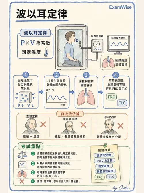 呼吸治療師 - 呼吸機械力學監測 - AI 圖文解析預覽