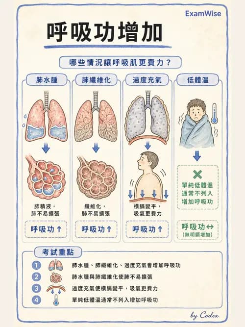 呼吸治療師 - 呼吸機械力學監測 - AI 圖文解析預覽