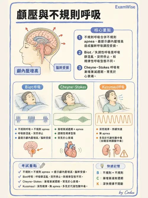 呼吸治療師 - 呼吸機械力學監測 - AI 圖文解析預覽