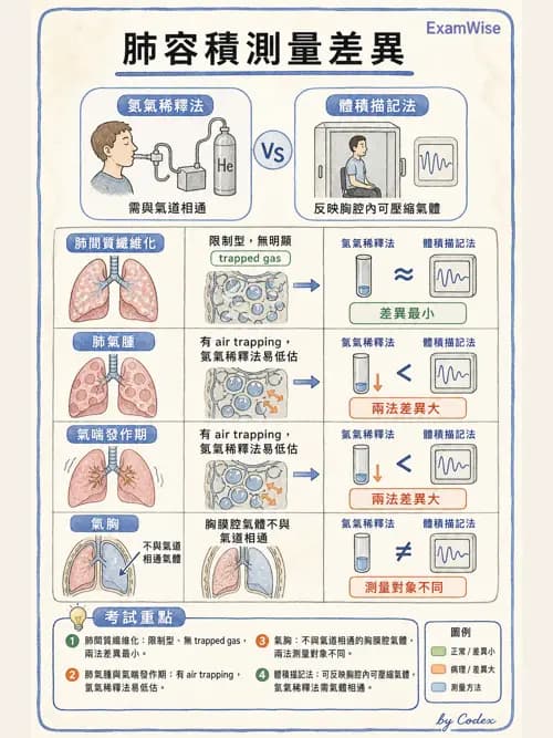 呼吸治療師 - 呼吸機械力學監測 - AI 圖文解析預覽