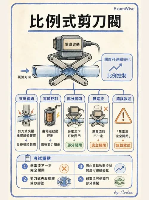 呼吸治療師 - 呼吸機械力學監測 - AI 圖文解析預覽