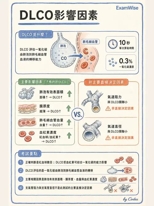 呼吸治療師 - 呼吸機械力學監測 - AI 圖文解析預覽