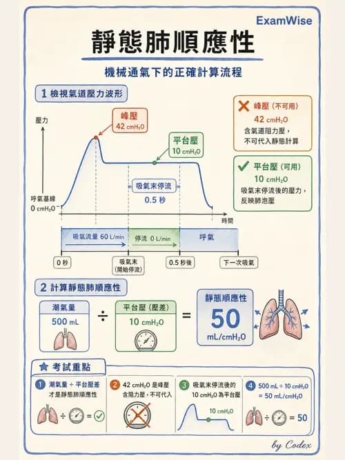 呼吸治療師 - 呼吸機械力學監測 - AI 圖文解析預覽