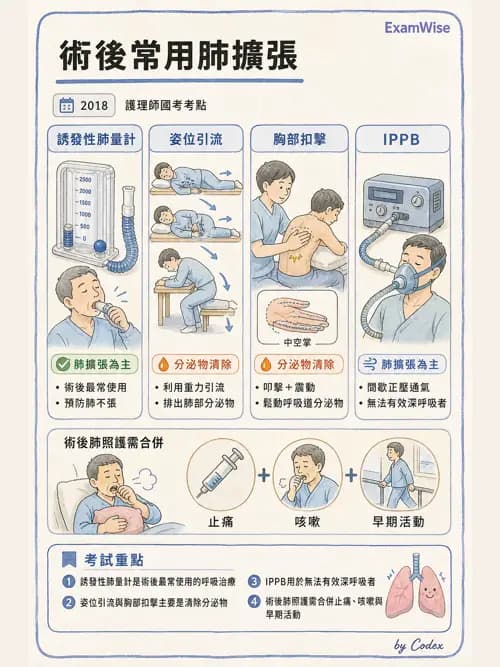 呼吸治療師 - 胸部擴張與物理治療設備 - AI 圖文解析預覽