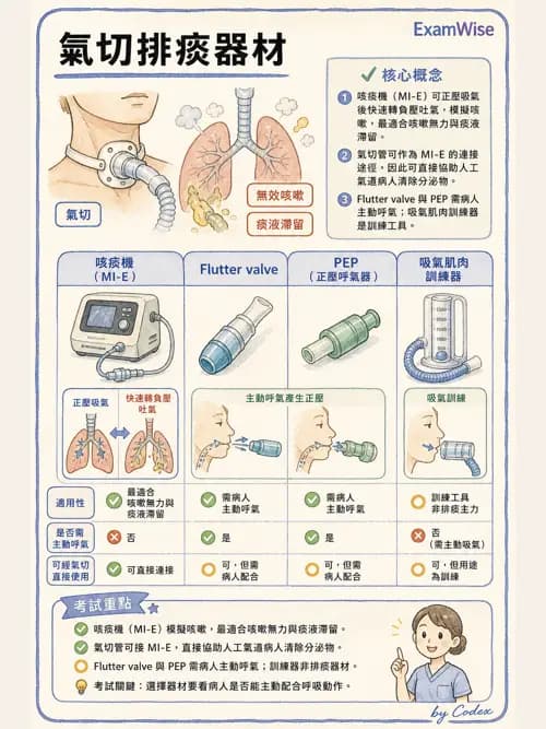 呼吸治療師 - 胸部擴張與物理治療設備 - AI 圖文解析預覽