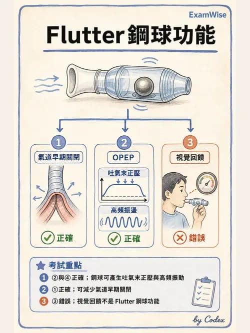 呼吸治療師 - 胸部擴張與物理治療設備 - AI 圖文解析預覽