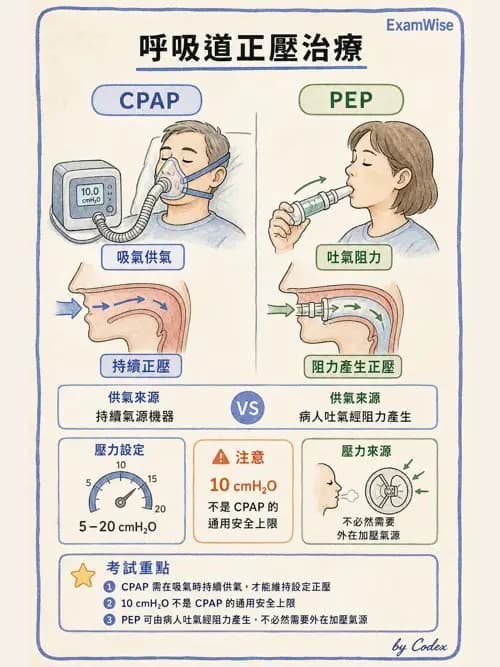 呼吸治療師 - 胸部擴張與物理治療設備 - AI 圖文解析預覽