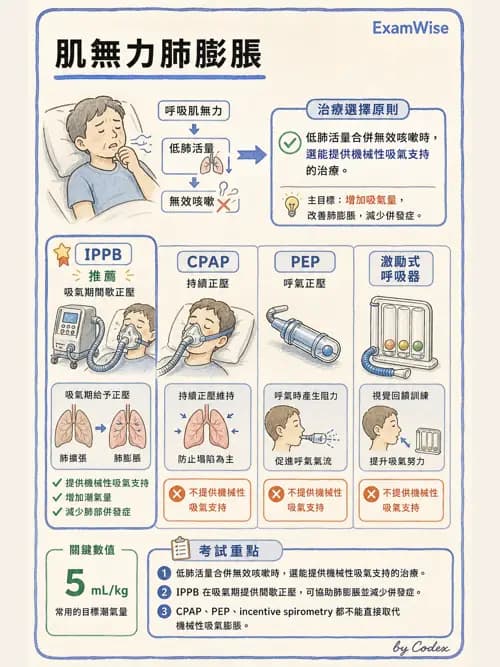 呼吸治療師 - 胸部擴張與物理治療設備 - AI 圖文解析預覽