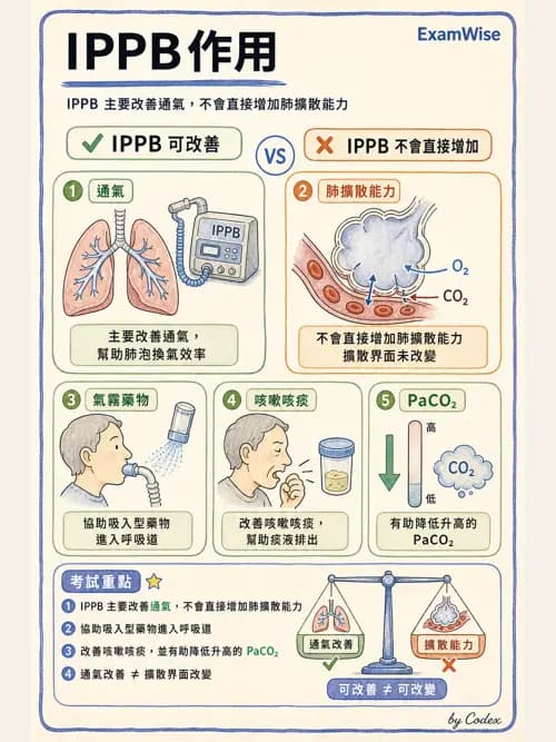 呼吸治療師 - 胸部擴張與物理治療設備 - AI 圖文解析預覽