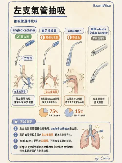 呼吸治療師 - 呼吸道照護與抽痰設備 - AI 圖文解析預覽