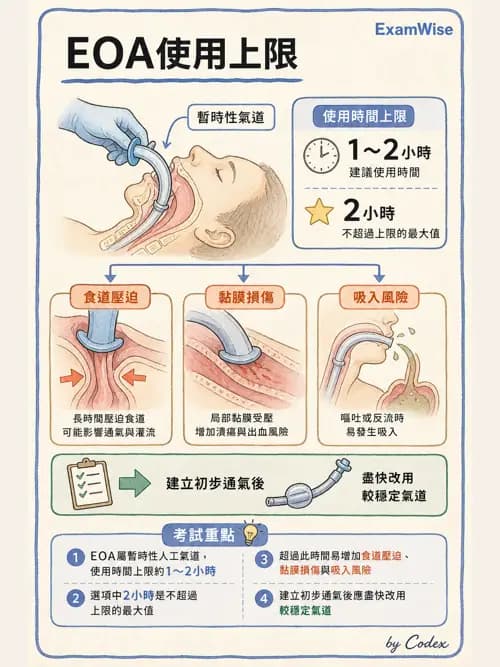呼吸治療師 - 呼吸道照護與抽痰設備 - AI 圖文解析預覽