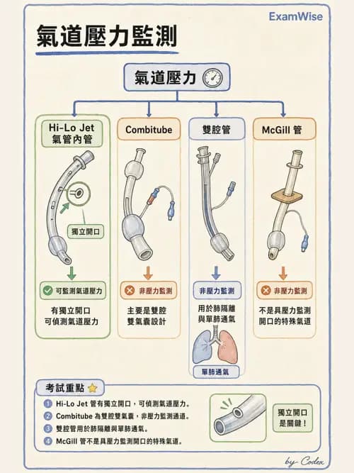 呼吸治療師 - 呼吸道照護與抽痰設備 - AI 圖文解析預覽