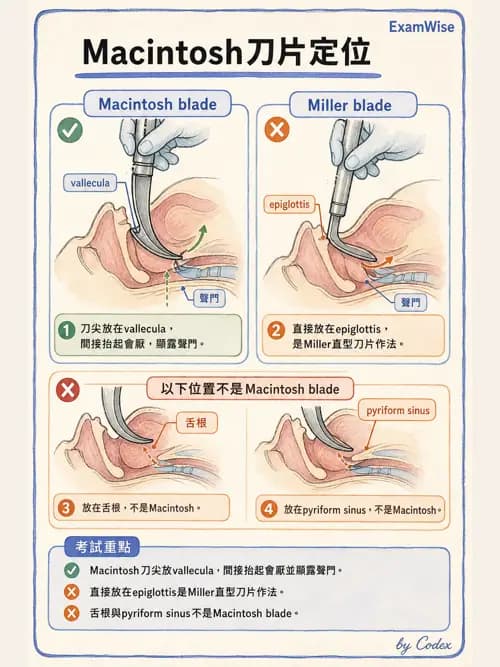 呼吸治療師 - 呼吸道照護與抽痰設備 - AI 圖文解析預覽