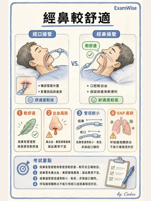 呼吸治療師 - 呼吸道照護與抽痰設備 - AI 圖文解析預覽
