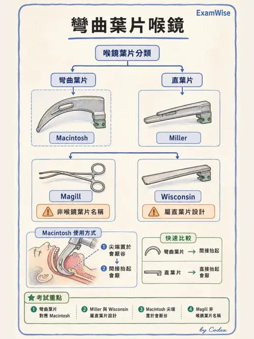 呼吸治療師 - 呼吸道照護與抽痰設備 - AI 圖文解析預覽
