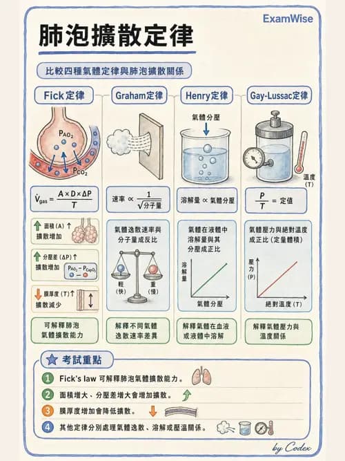 呼吸治療師 - 氣體物理學 - AI 圖文解析預覽