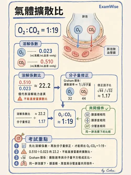 呼吸治療師 - 氣體物理學 - AI 圖文解析預覽