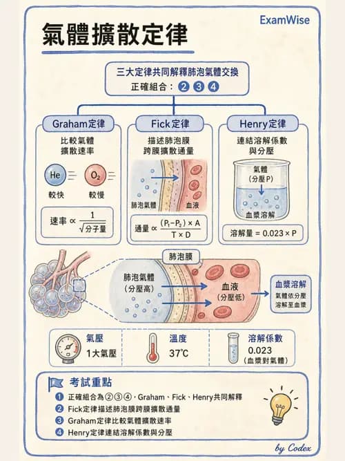 呼吸治療師 - 氣體物理學 - AI 圖文解析預覽