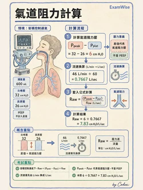 呼吸治療師 - 機械通氣生理 - AI 圖文解析預覽