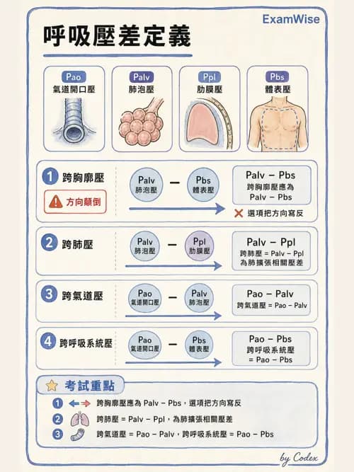 呼吸治療師 - 機械通氣生理 - AI 圖文解析預覽