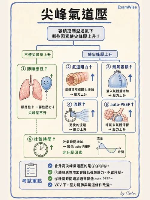 呼吸治療師 - 機械通氣生理 - AI 圖文解析預覽