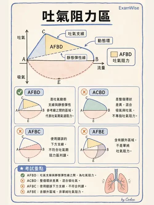 呼吸治療師 - 呼吸器圖形判讀與故障排除 - AI 圖文解析預覽