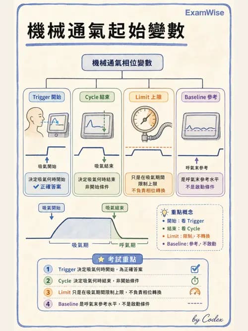 呼吸治療師 - 呼吸器設計與通氣模式 - AI 圖文解析預覽