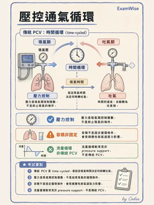 呼吸治療師 - 呼吸器設計與通氣模式 - AI 圖文解析預覽