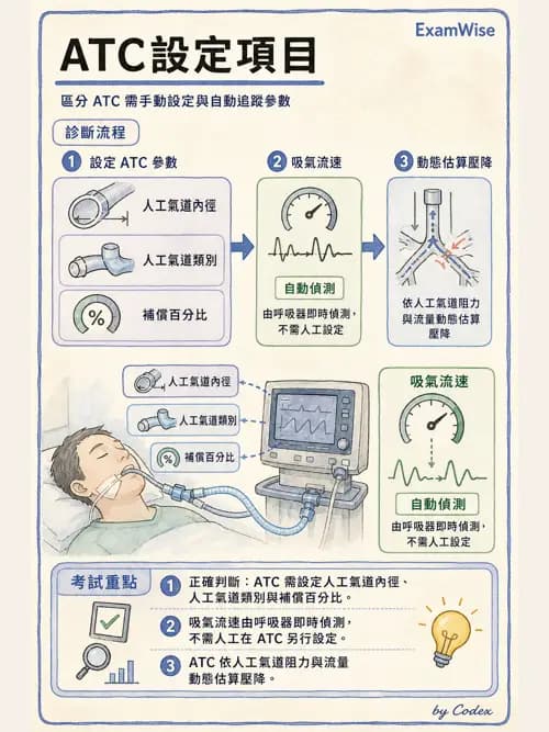 呼吸治療師 - 呼吸器設計與通氣模式 - AI 圖文解析預覽