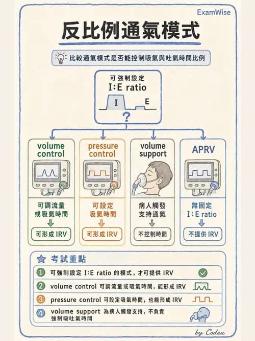 呼吸治療師 - 呼吸器設計與通氣模式 - AI 圖文解析預覽
