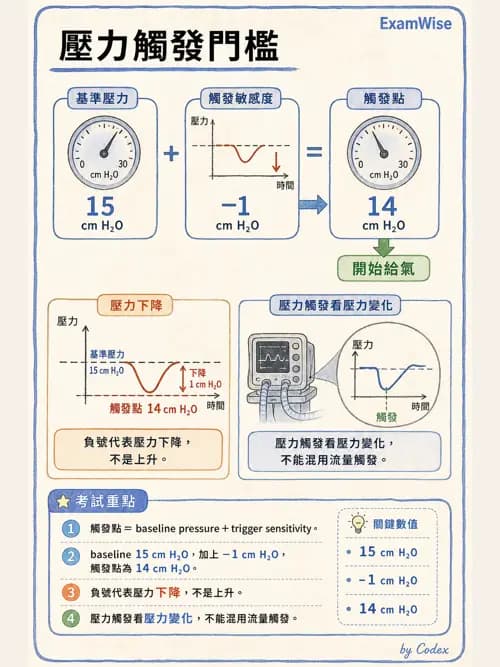 呼吸治療師 - 呼吸器設計與通氣模式 - AI 圖文解析預覽