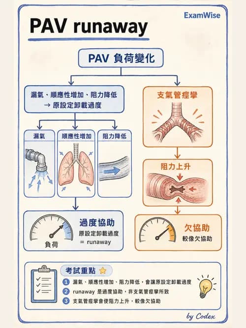 呼吸治療師 - 呼吸器設計與通氣模式 - AI 圖文解析預覽
