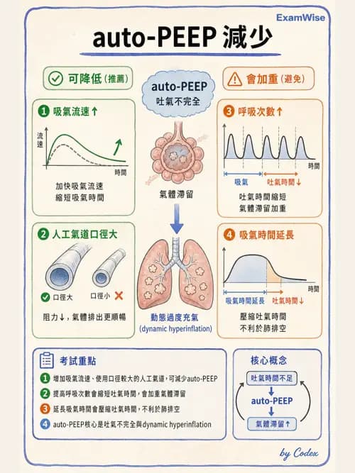 呼吸治療師 - 正壓通氣生理影響與合併症 - AI 圖文解析預覽