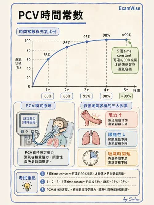 呼吸治療師 - 機械通氣生理 - AI 圖文解析預覽