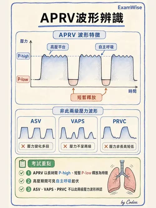 呼吸治療師 - 呼吸器圖形判讀與故障排除 - AI 圖文解析預覽