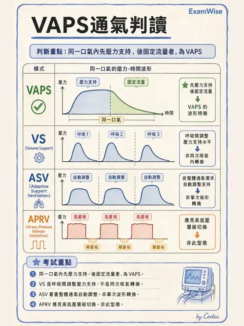呼吸治療師 - 呼吸器圖形判讀與故障排除 - AI 圖文解析預覽