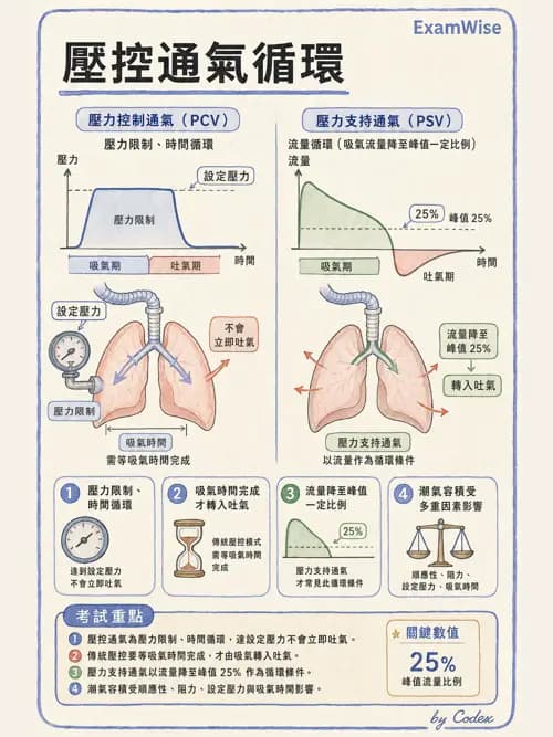 呼吸治療師 - 呼吸器設計與通氣模式 - AI 圖文解析預覽