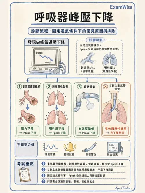 呼吸治療師 - 呼吸器圖形判讀與故障排除 - AI 圖文解析預覽