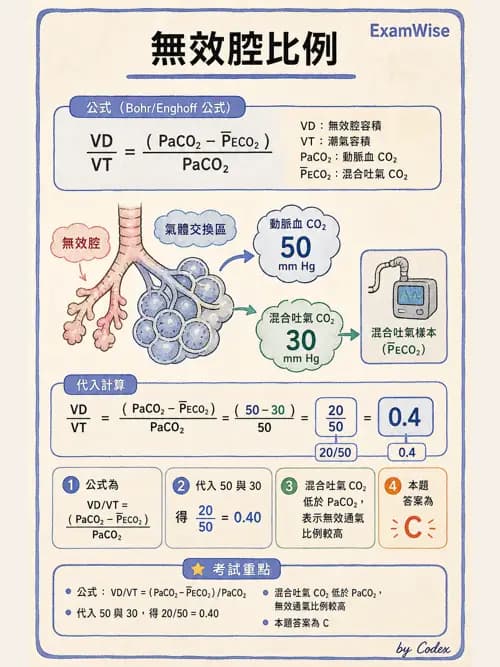呼吸治療師 - 呼吸器監測與評估 - AI 圖文解析預覽