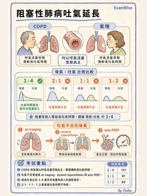 呼吸治療師 - 臨床設定、參數調整與脫離 - AI 圖文解析預覽