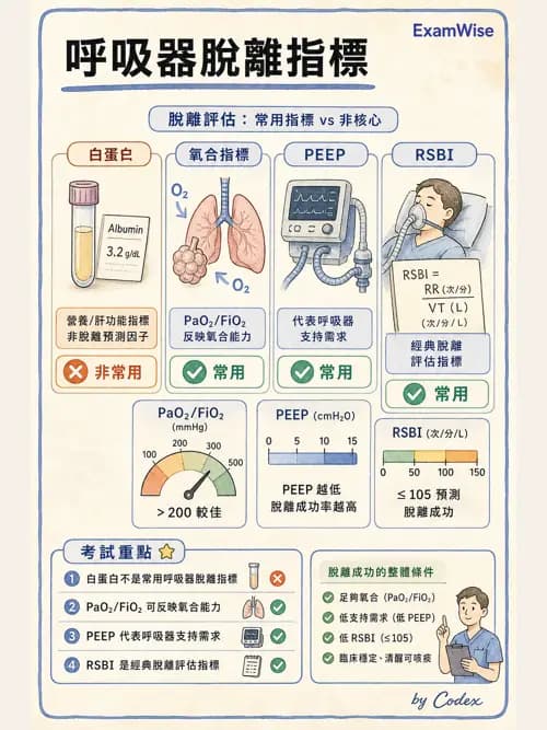 呼吸治療師 - 臨床設定、參數調整與脫離 - AI 圖文解析預覽
